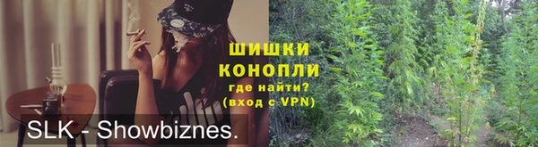 гидра Наволоки