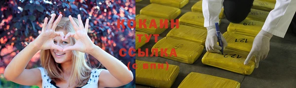 гидра Наволоки