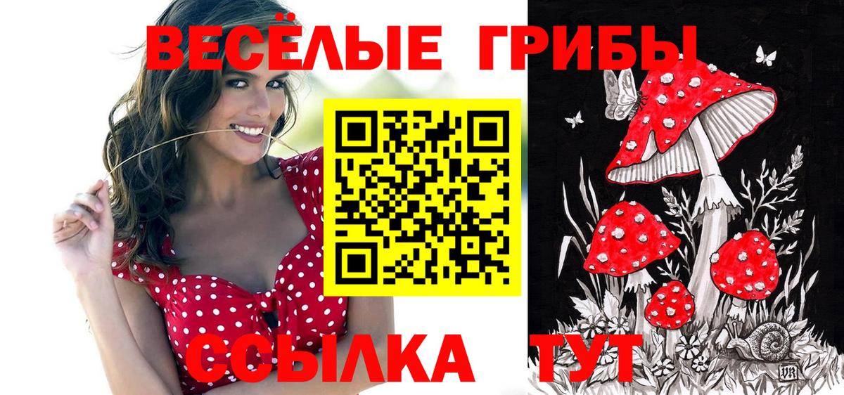 Галлюциногенные грибы GOLDEN TEACHER Нарткала